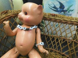 compo pig c